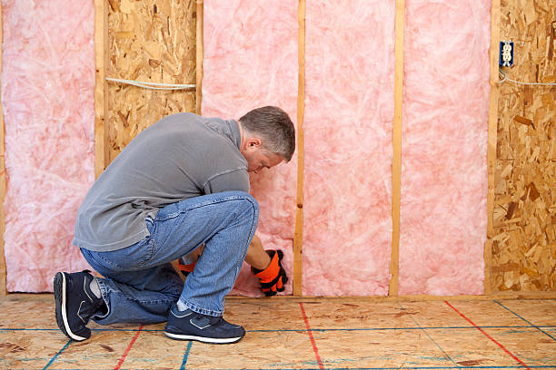 Best Commercial Insulation in Whitney, TX